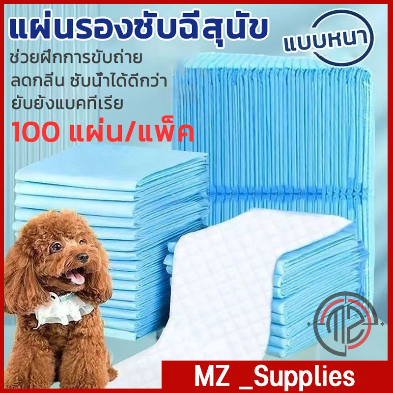 แผ่นรองฉี่สำหรับสัตว์เลี้ยง Pee Pad สำหรับสุนัขและแมว ซึมซับไว สำหรับฝึกขับถ่าย