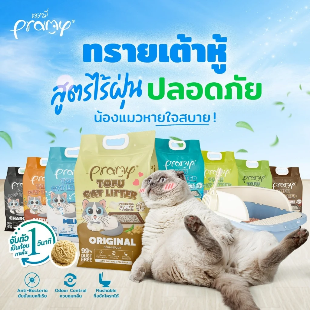 Pramy ทรายแมวเต้าหู้จากใยถั่วเหลือง สูตรไร้ฝุ่น จับตัวเร็ว ขนาด 6L / 10L / 20L / 40L มี 11 กลิ่น